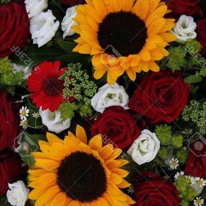 Meet your Posher, Jannet